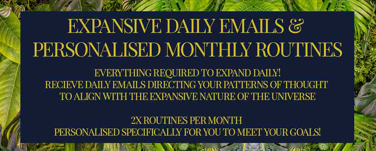 Expansive Daily emails & 2x Personalised Monthly routines